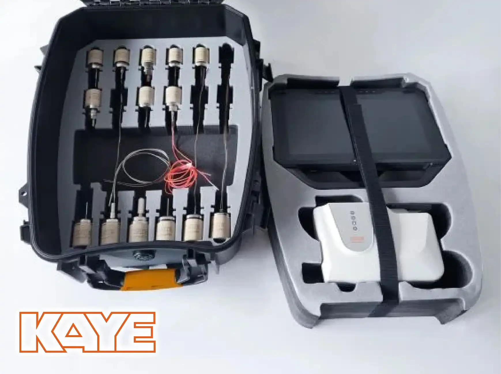 KAYE Wireless (RF) ValProbe RT System.